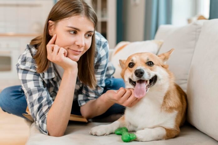 É possível para humanos compreenderem latidos de cães? Com a IA sim