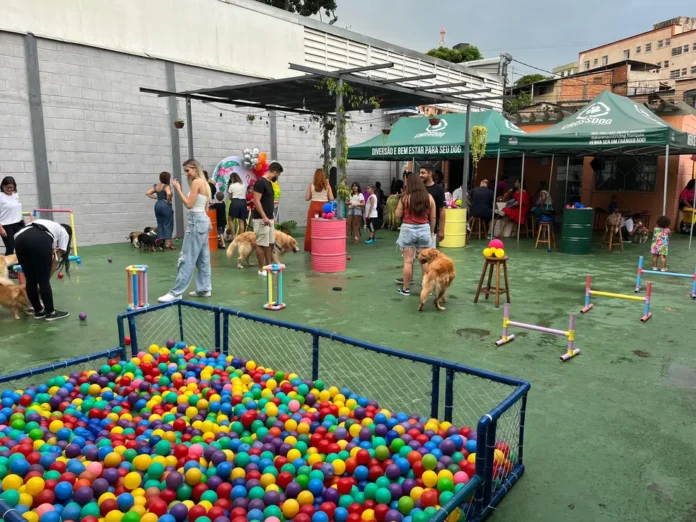 Bom pra cachorro: happy hour canino em BH tem caldo de osso, petisco e picolé para agradar pets