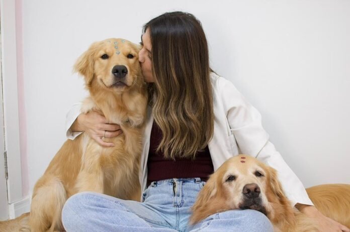 Vídeo: reação de cães ao encontrar veterinária “favorita” viraliza