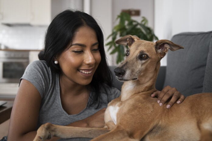 No Dia do Vira-Lata, confira nove situações em que o cão caramelo viralizou na web