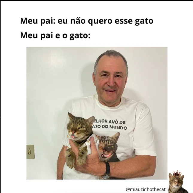 Conheça a história do gato Tigrão, o queridinho do vovô que conquista as redes sociais