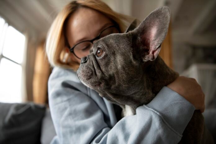 Pets também sofrem de ansiedade