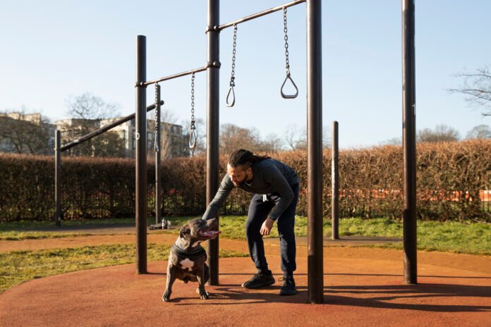 Adestramento de cães passa por métodos mais tradicionais até os mais modernos