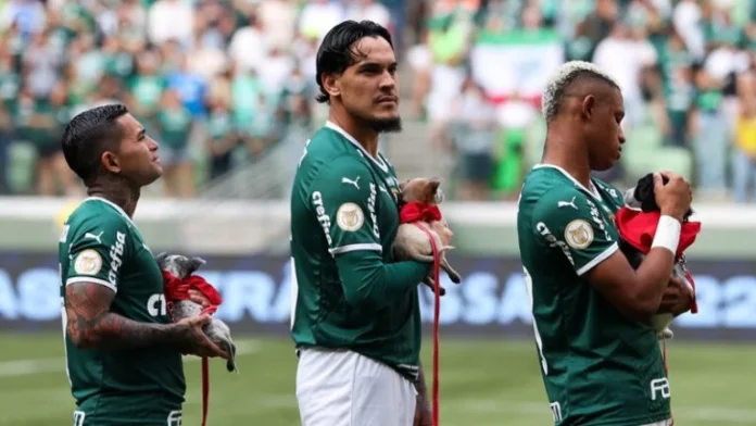 Palmeiras e Mars Petcare entram em campo pelos animais