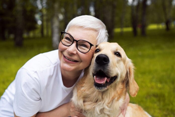 8 sinais de que o seu cachorro está se tornando idoso