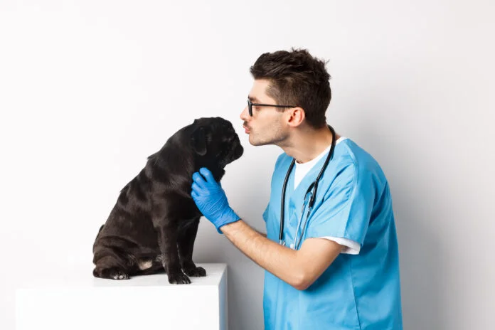 A importância do médico-veterinário no combate à Mpox e na promoção da Saúde Única
