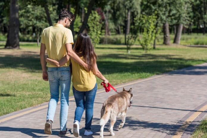 Passeio com cães e gatos: benefícios e cuidados com os animais de estimação