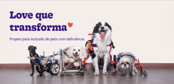 Love que Transforma: primeira plataforma de inclusão de pets com deficiência