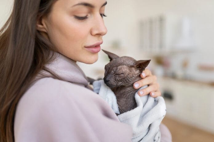 Como saber se o seu gato está com dor?