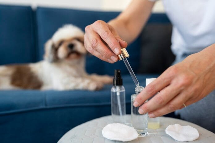 Risco à saúde pública! 1/5 da população brasileira medica seus animais sem orientação médica veterinária