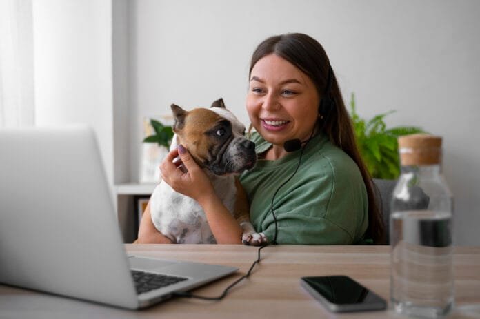 Quais são os problemas mais comuns que surgem em uma teleconsulta veterinária?