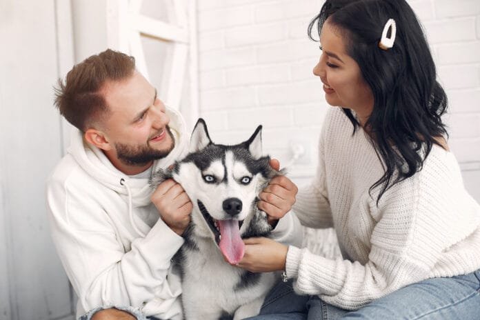 O futuro dos Pets nas separações: proteção e amor em tempos de mudança