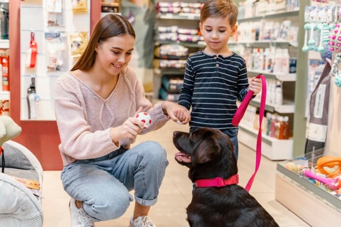 Câmara aprova em 1º turno projeto que obriga lojas de pets a garantirem a saúde de animais