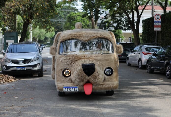 Atenção! O Petcar está passando na sua rua: Petlove anuncia Pet Friday 2024