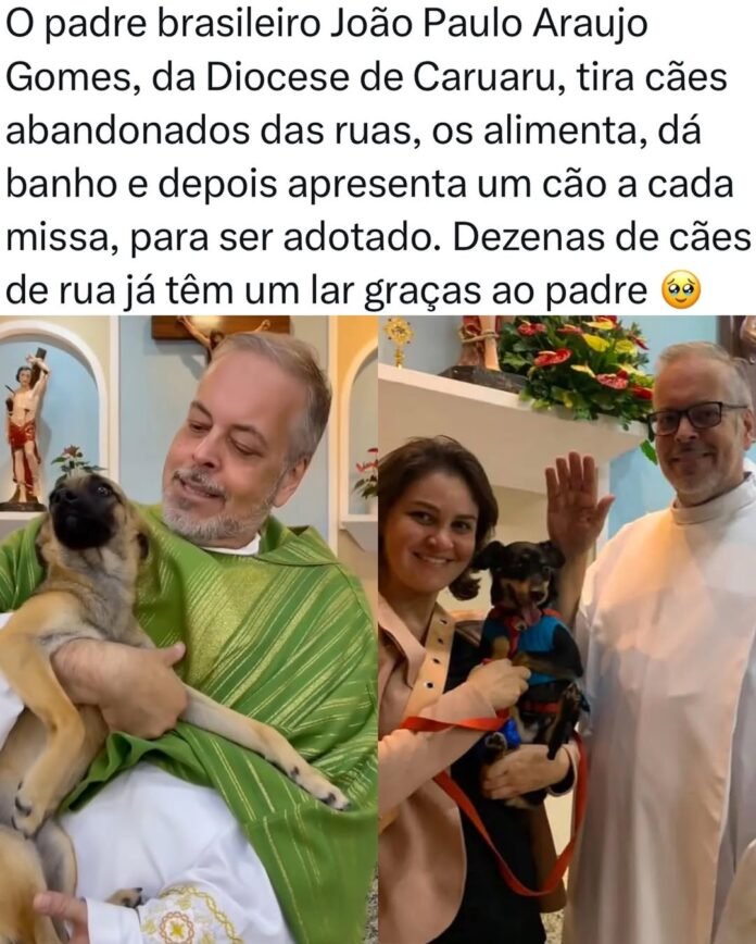 Uma missão religiosa que contempla o amor pelos animais