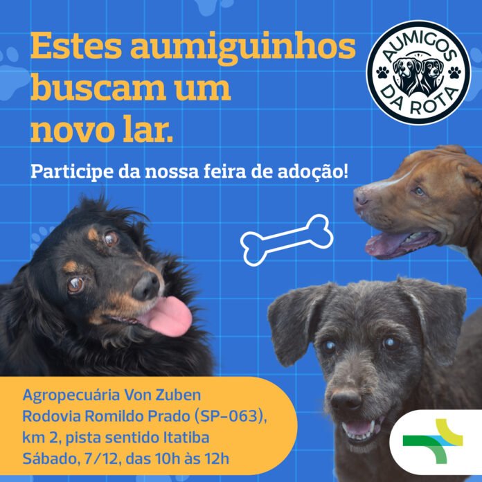 Rota realiza feira para adoção de cães resgatados no Corredor Dom Pedro