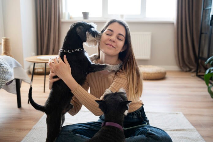 Acordos de divórcio estabelecem guarda e pensão para os pets