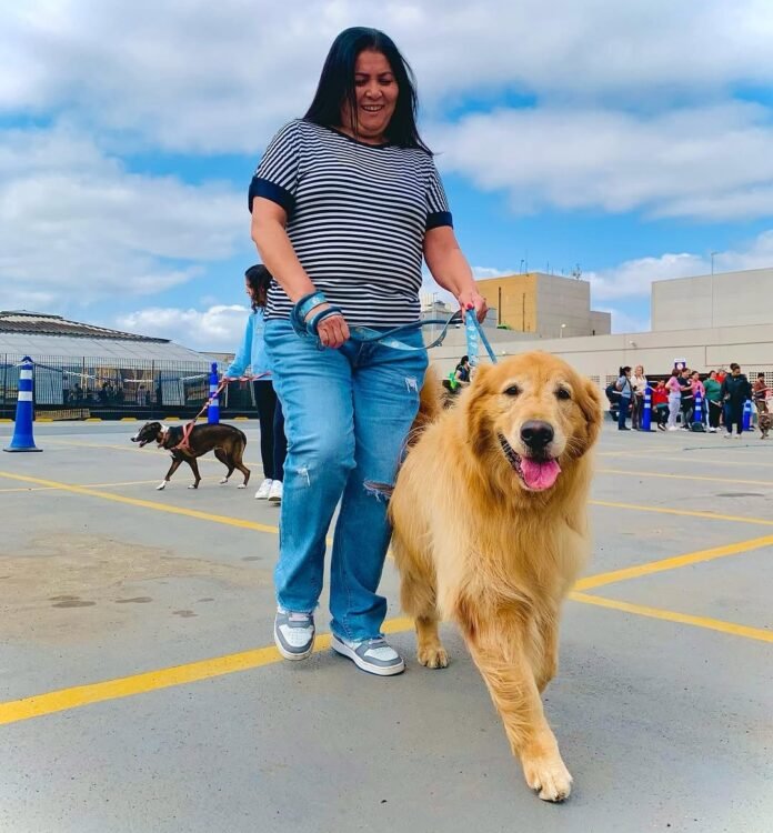 Shopping Penha traz nova aula gratuita sobre comportamento pet neste sábado