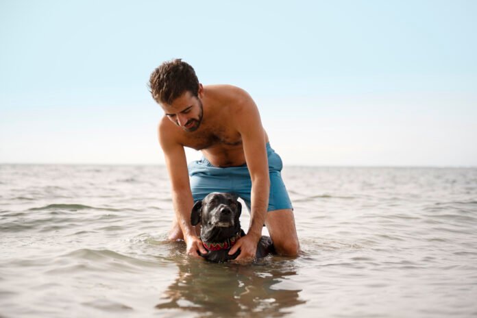 Beber água do mar pode ser um risco para os pets