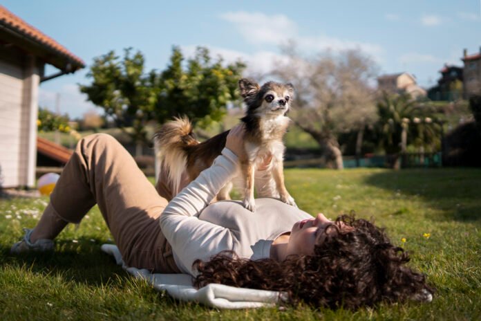 Características gerais de cães podem indicar o tempo de vida de cães