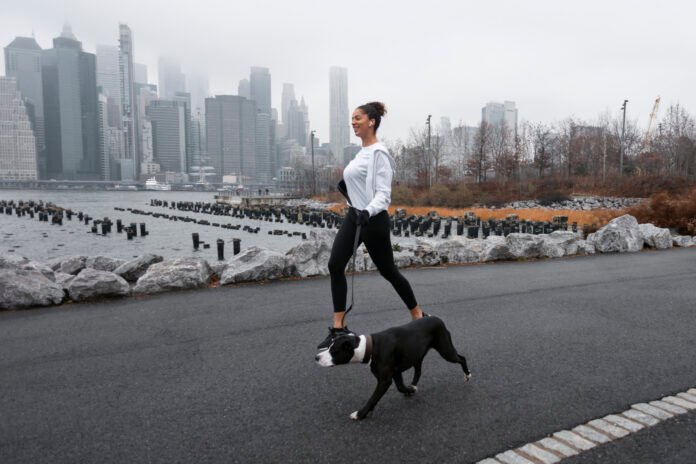 Conheça o canicross, a corrida que une cães e humanos