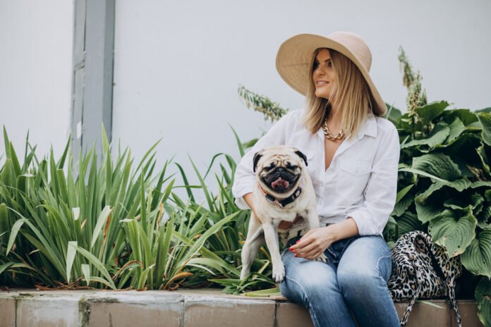 Plantas ajudam a afastar pulgas e carrapatos de pets