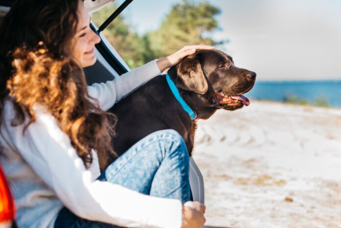 Presença de cachorros nas praias divide moradores de Florianópolis; veja números de pesquisa