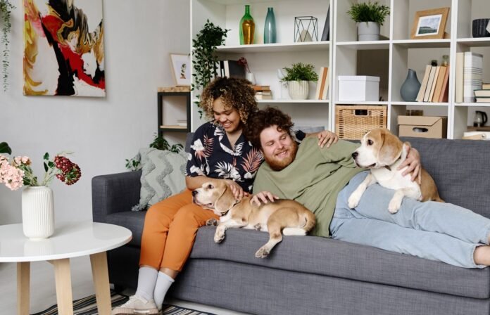 Pets influenciam o mercado imobiliário e a forma de morar do brasileiro