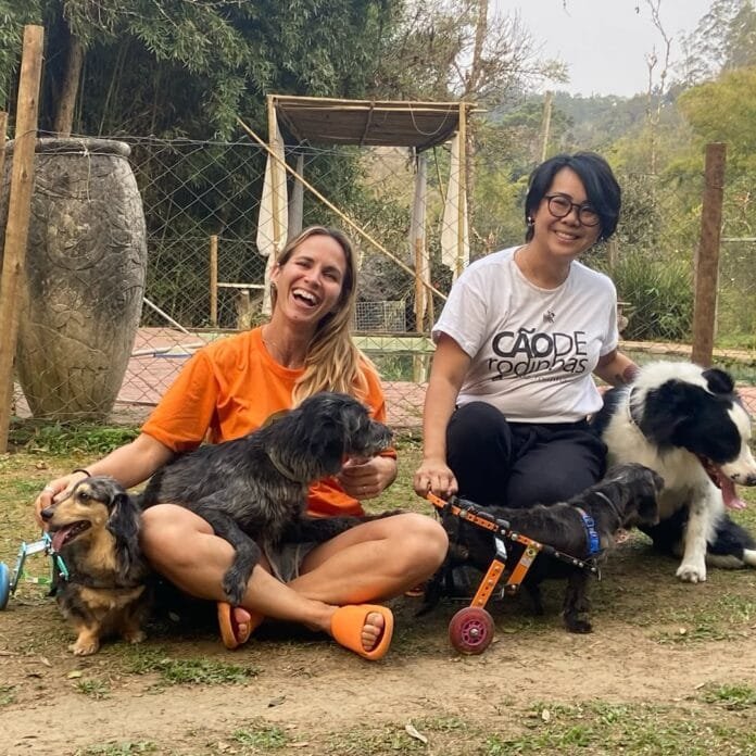 Instituto Cão de Rodinhas celebra 7 anos de pioneirismo e amor pelos animais especiais