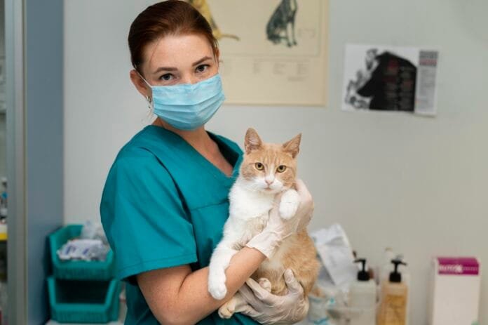 Dia do Trabalhador: como evitar riscos e acidentes para quem cuida de animais
