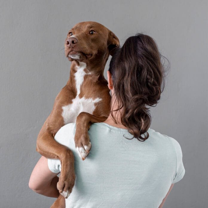 Estudo revela que humanos têm dificuldade em interpretar emoções dos cães