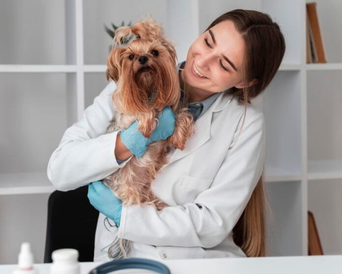 CFMV pede ao MEC que cursos de Medicina Veterinária também passem por avaliação nacional