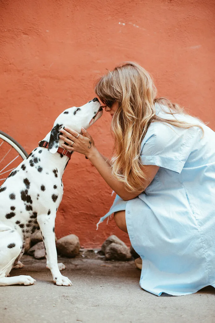 Erros na dosagem de medicamentos colocam a saúde dos pets em risco