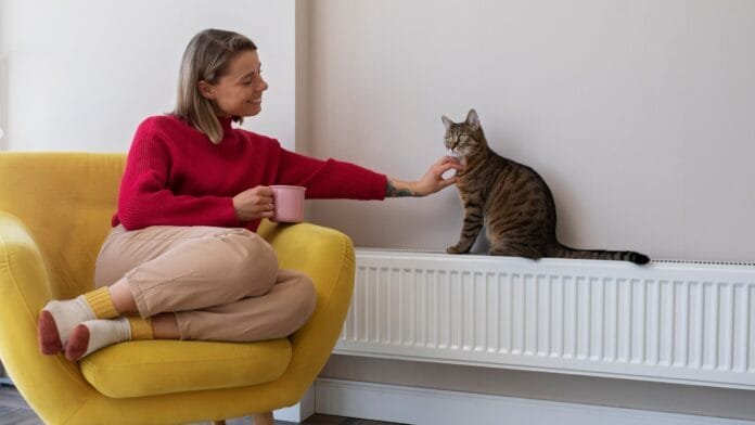 Mercado pet cresce com alta na preferência por gatos no Brasil