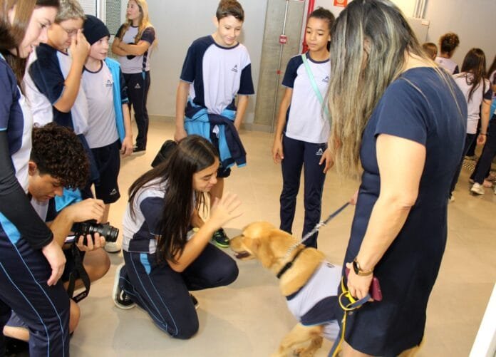 Golden Retriever Missy leva carinho, foco e aprendizado a alunos em escola de Campinas