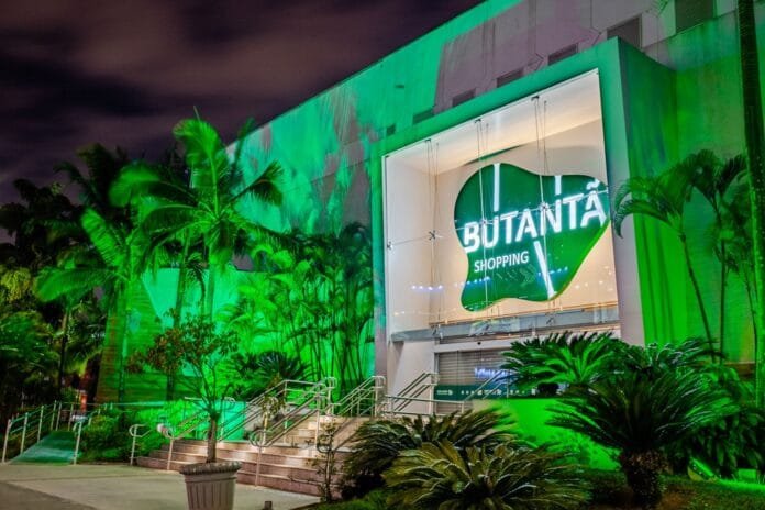 Encontro de Chihuahua transforma o Butantã Shopping em território pet
