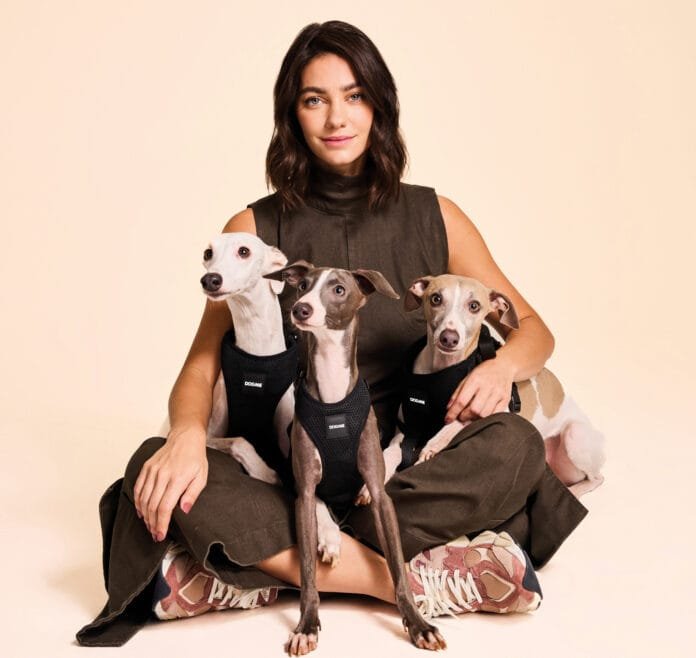 Dogme estreia no mercado e aposta em experiência premium no universo pet