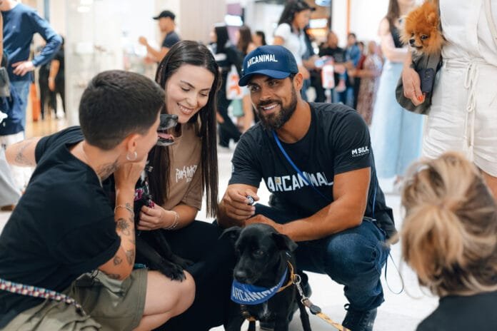 Curitiba recebe feira de adoção de pets com apoio da plataforma Arcanimal