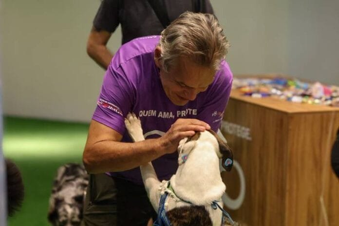 Galleria Shopping recebe Encontro Pet da raça Shiba Inu neste sábado