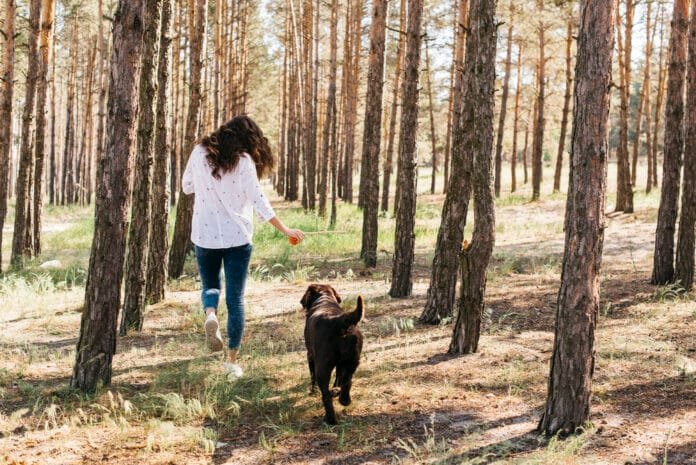 Valinhos celebra o Dia Mundial do Meio Ambiente com debate sobre bem-estar animal