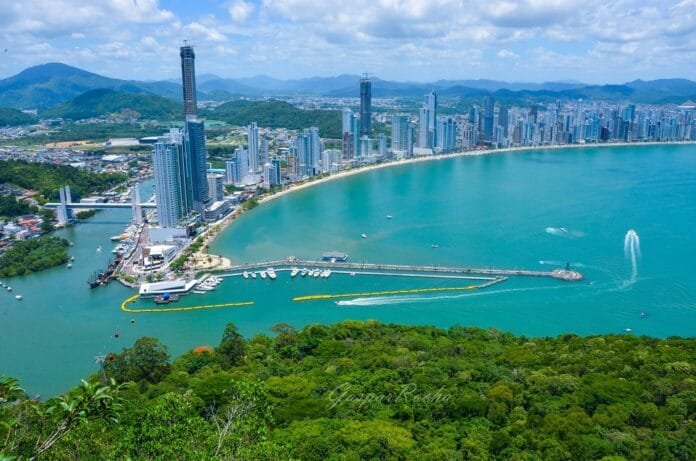 Balneário Camboriú aprova selo Pet Friendly e se junta a destinos que acolhem turistas com pets