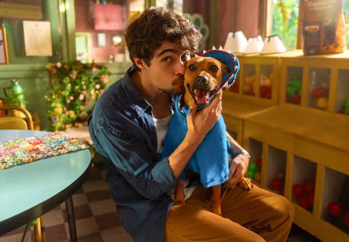 No Dia do Vira-Lata, Netflix divulga primeiras imagens e pôster oficial do filme Caramelo