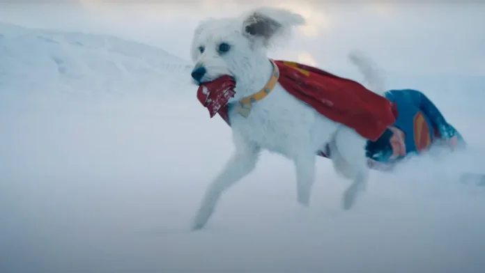 Filme Superman impulsiona interesse por adoção de cães no mundo real