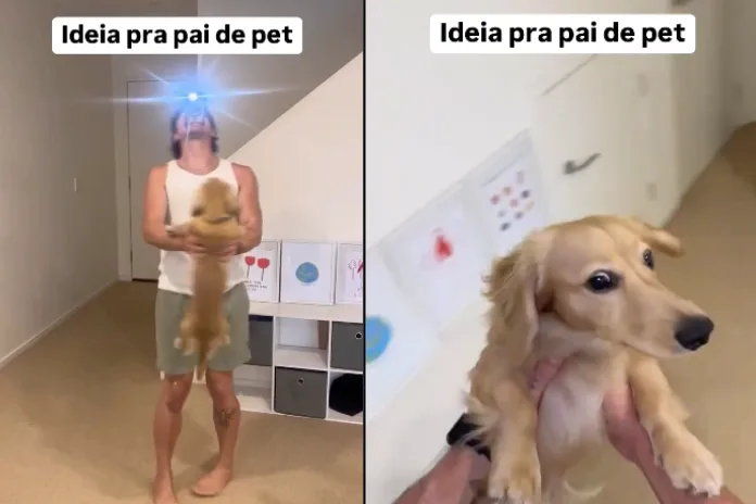 Vídeo de tutor girando com o cachorro no colo viraliza, mas levanta alerta: pode fazer mal ao pet?