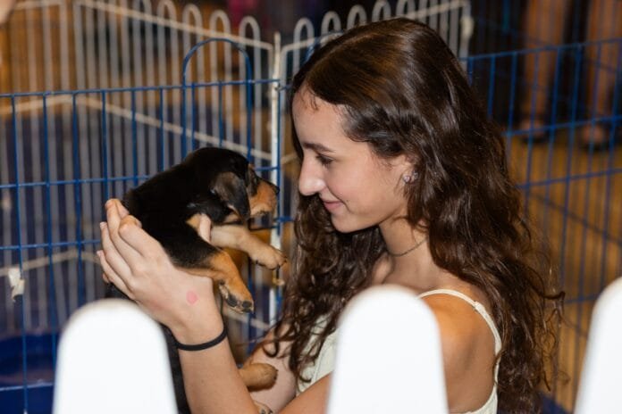Shopping Piracicaba tem Adota PET no final de semana
