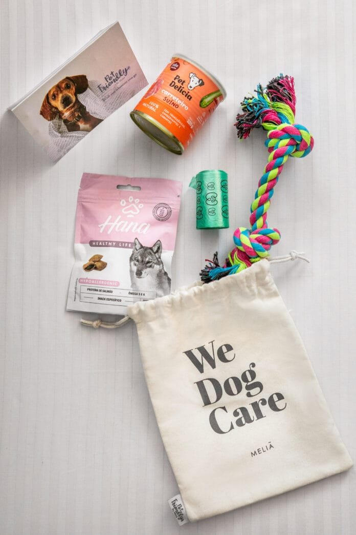 Viagens com pets crescem e impulsionam mercado pet-friendly
