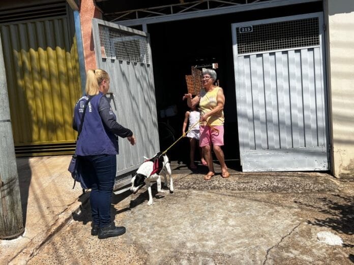 https://www.marilia.sp.gov.br/portal/noticias/0/3/15089/agentes-de-endemias-visitarao-casas-em-marilia-para-levantamento-sobre-animais