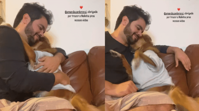Abraço de cadelinha viraliza e mostra como pets retribuem o carinho dos tutores