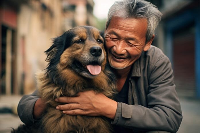 Unesp recruta cães idosos para pesquisa sobre “Alzheimer canino”