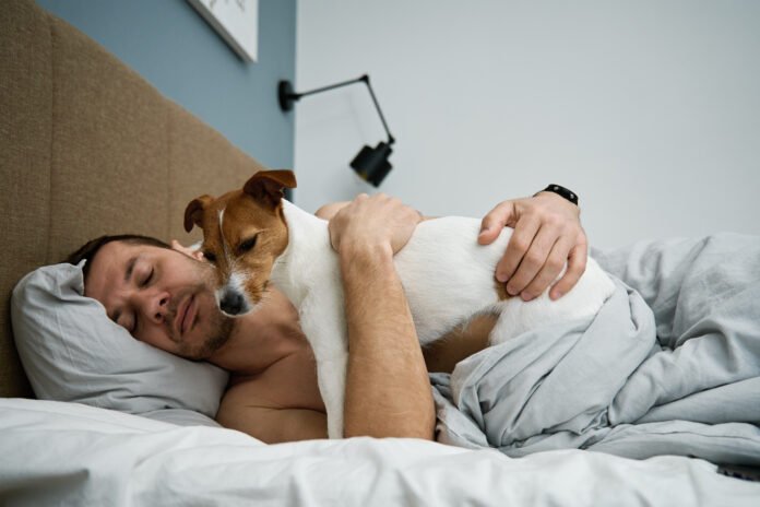 Dormir com o pet faz mal?